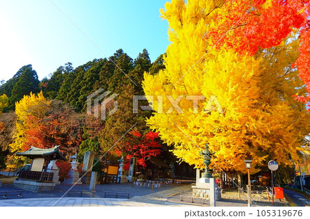 Kumano Taisha Nanyo City Koyo Koyo Kumano Taisha Nanyo City Koyo Koyo 105319676