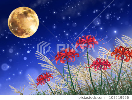 Amaryllis and the full moon illuminating the night sky Amaryllis and the full moon illuminating the night sky 105319936