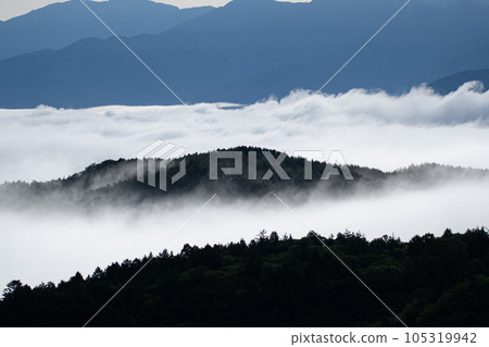 美麗的雲海 105319942