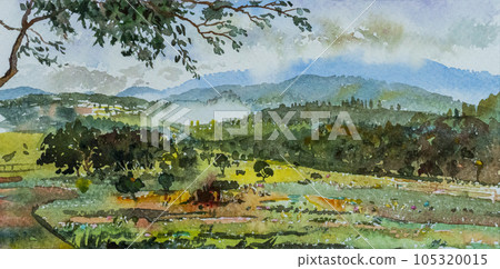 Colorful of Village rural, rice field, farm with trees mountain. 105320015