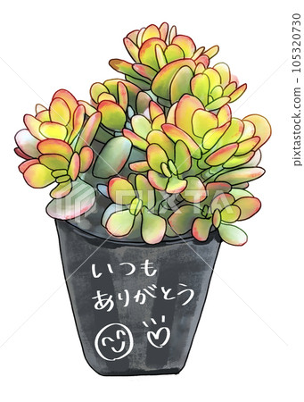 I want to give it to Respect for the Aged Day! Perpetual youth and longevity "money tree" transparent 105320730