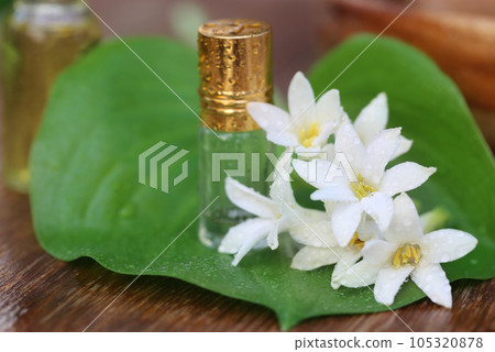 Tuberose or Rajnigandha of Southeast Asia with herbal extract Tuberose or Rajnigandha of Southeast Asia with herbal extract 105320878