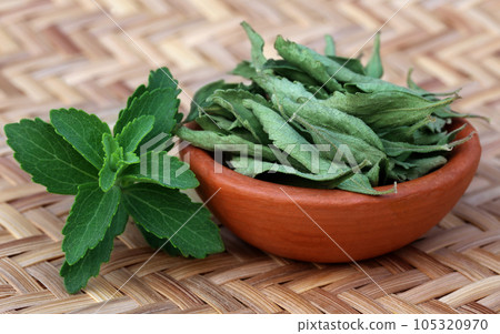 Green and dired Stevia leaves Green and dired Stevia leaves 105320970