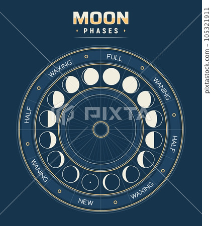 Moon phases, vector calendar of lunar cycles new, waning, half, full and waxing. Astronomy or astrology science, moon phases or stages inside of circle with separated segments. Earth satellite poster 105321911