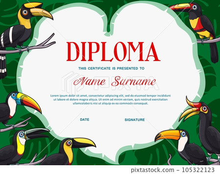 Certificate diploma vector template of kid education with frame border of toucan birds. School graduation award, kindergarten or preschool achievement certificate with exotic toucanets and palm leaves Certificate diploma vector template of kid education with frame border of toucan birds. School graduation award, kindergarten or preschool achievement certificate with exotic toucanets and palm leaves 105322123