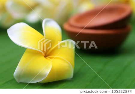 Frangipani on green leaf Frangipani on green leaf 105322874