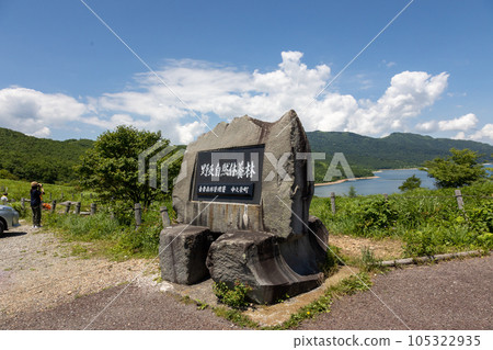夏天從富士見峠看到的野里湖 105322935