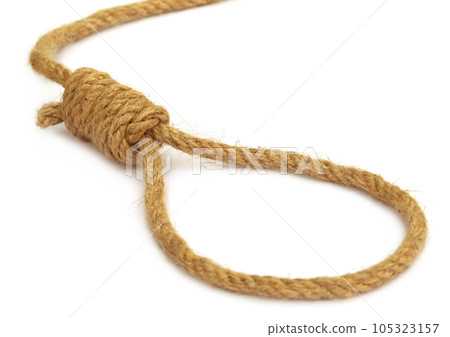 Hanging noose 105323157