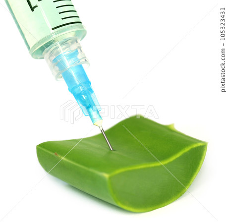 Injection syringe and fresh aloe vera 105323431