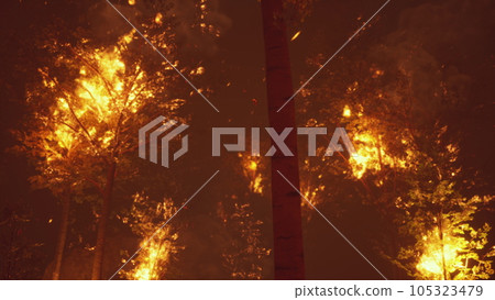 Intense flames from a massive forest fire 105323479