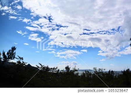 summer blue sky white clouds nature tree summer blue sky white clouds nature tree 105323647