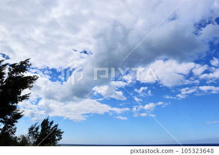 夏天湛藍天空 白色雲海 自然 樹 105323648