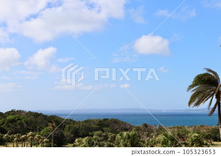 夏天湛藍天空 白色雲海 自然 椰子樹 大海 105323653
