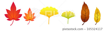 Illustration set material of autumn leaves _ ginkgo _ dead leaves Illustration set material of autumn leaves _ ginkgo _ dead leaves 105324117