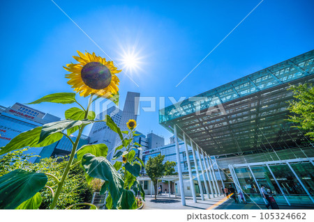 日本夏季川崎城市景觀。炎熱的天氣、熾熱的陽光和向日葵。川崎站後面…=7月26日 日本夏季川崎城市景觀。炎熱的天氣、熾熱的陽光和向日葵。川崎站後面…=7月26日 105324662