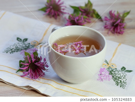 Herbal tea from Monarda didyma, also called bergamot or beebalm 105324883