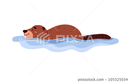 Cheerful beaver swimming in water, cartoon flat vector illustration isolated on white background. 105325034
