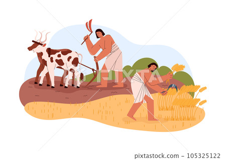 Egyptian people gather ears and plow field scene flat style, vector illustration Egyptian people gather ears and plow field scene flat style, vector illustration 105325122
