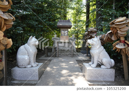 座間神社 犬貓子神社 座間神社 犬貓子神社 105325200