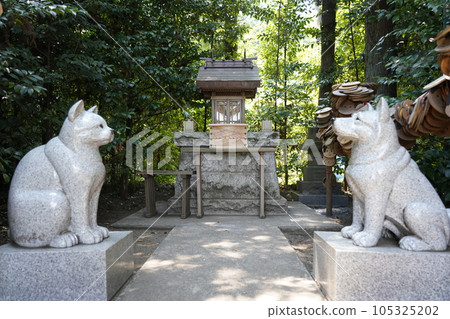 Zama Shrine Inuneko Shrine 105325202