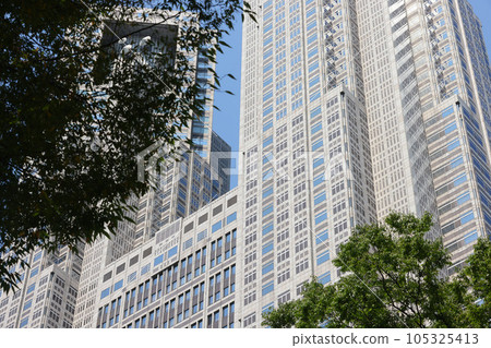 [Image of midsummer] The view of the Tokyo Metropolitan Government from the trees in midsummer 105325413