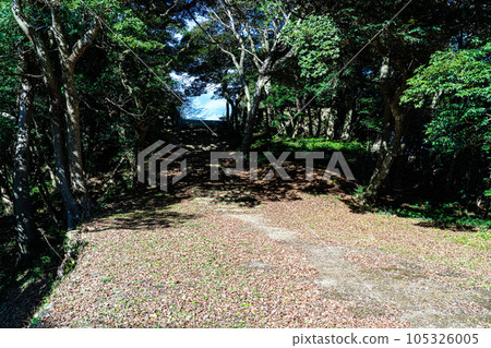[Continued 100 Great Castles of Japan] Yonago Castle Stone steps leading to Naizenmaru Yonago City, Tottori Prefecture 105326005