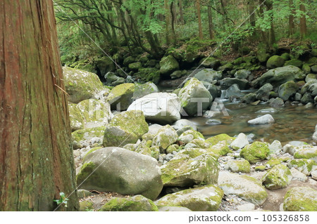 Clear stream flowing through the canyon 105326858