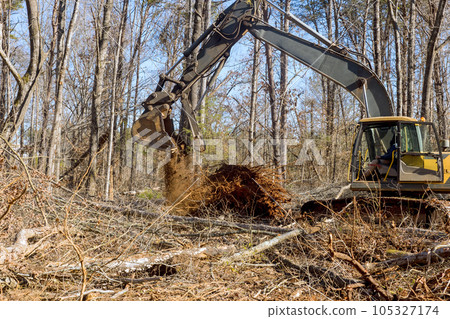 As result of assistance of an excavator worker removes trees from forest prepares ground for construction house As result of assistance of an excavator worker removes trees from forest prepares ground for construction house 105327174