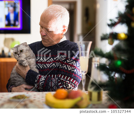 Retired man, together with Scottish cat, celebrates Christmas at festive table Retired man, together with Scottish cat, celebrates Christmas at festive table 105327344