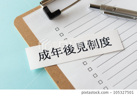Adult Guardianship System Adult Guardianship System 105327501