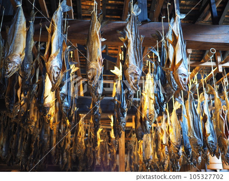 新潟村上的鹹鮭魚 105327702