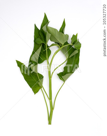 Aka grease 105327710