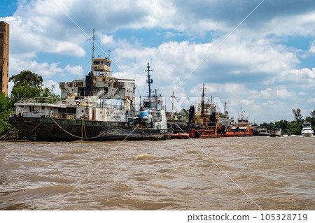 Boat tour on the Parana Delta, Tigre, Buenos Aires, Argentina. Palm trees, construction site of modern brick house. Boat tour on the Parana Delta, Tigre, Buenos Aires, Argentina. Palm trees, construction site of modern brick house. 105328719