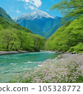 Nature's beauty 105328772