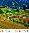 Beautiful terraced rice fields 105328774