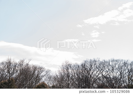 Dead tree/winter background material Dead tree/winter background material 105329086