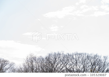 Dead tree/winter background material Dead tree/winter background material 105329087