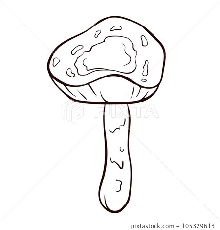 Inedible mushroom Deadly Dapperling black and white in line art style. Poisonous Lepiota brunneoincarnata hand drawn. Vector illustration isolated on a white background. 105329613