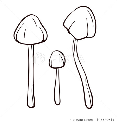 Conocybe Filaris inedible mushroom in line art style. Poisonous food sketch. Vector illustration isolated on a white background. Deadly fungus Pholiotina rugosa. 105329614