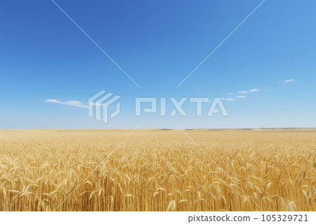 Wheat field 105329721