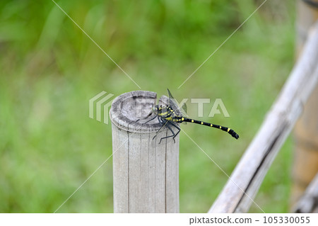 Koniyanma Koniyanma 105330055