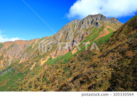Mt. Akadake, the Yatsugatake mountain range looking up from the Nakadake trail 105330564