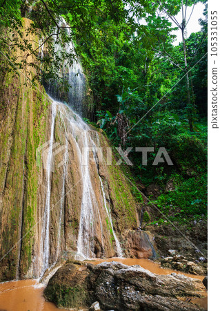 Vertical landscape photo with waterfall in tropical forest 105331055
