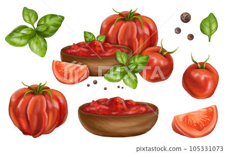 Vegetable set of ripe red tomatoes, basil leaves, pepper, a plate with red sauce. Farmer's harvest from the garden of useful organic plants. Fresh food for healthy diet. Digital isolated illustration. 105331073
