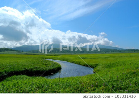 Rainyuunumi Mogahara 105331430