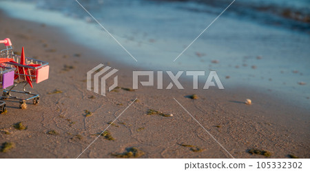 Miniature Shopping Basket Stands On Shore Of Sea, Which Is Washed By Water, In Basket There Are Shells, Starfish And Seahorse. The Concept Of Summer Sale And Buying Ticket To Sea. 105332302