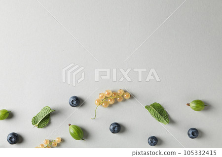 Tasty and delicious summer food, berries, healthy food concept Tasty and delicious summer food, berries, healthy food concept 105332415
