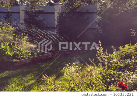 Automatic sprinkler for garden watering plants. Garden irrigation system for irrigation. Water saving or water saving due to a sprinkler system with adjustable pressure. High quality photo Automatic sprinkler for garden watering plants. Garden irrigation system for irrigation. Water saving or water saving due to a sprinkler system with adjustable pressure. High quality photo 105333221