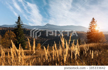 Amazing scene on autumn mountains 105333642