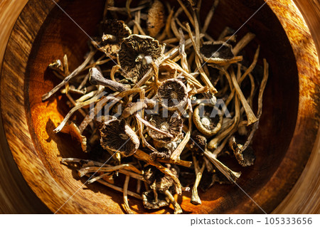Dried hallucinogenic magic mushrooms Dried hallucinogenic magic mushrooms 105333656